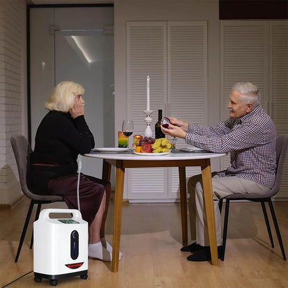 RESPIREASY Home Use Portable Oxygen Concentrator 2-9 Liter Per Minute Continuous Flow O2 Concentrator Machine 110V/220V RE-P2L